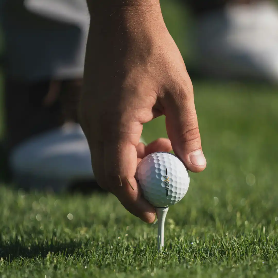 shiloh falls golf club contact